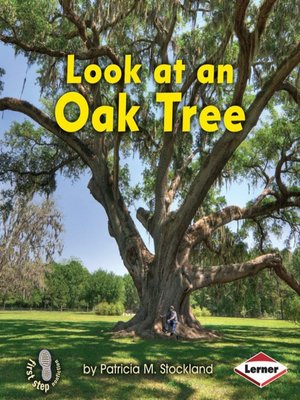 cover image of Look at an Oak Tree
